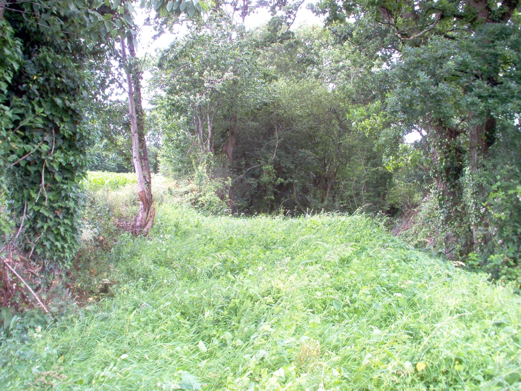 20110000 LA PAVÉE Pont-Farcy 15.jpg - IM000275.JPG